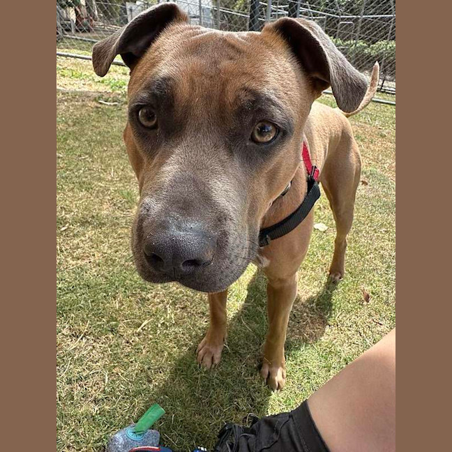 Photo of Turbo