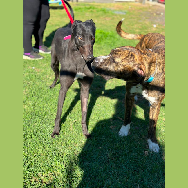 Photo of Betty Clover