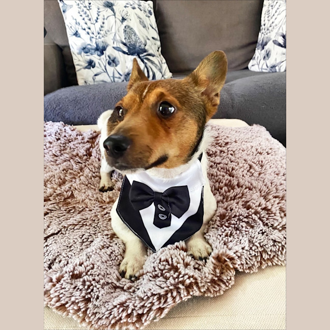 Photo of Kevin Arnold