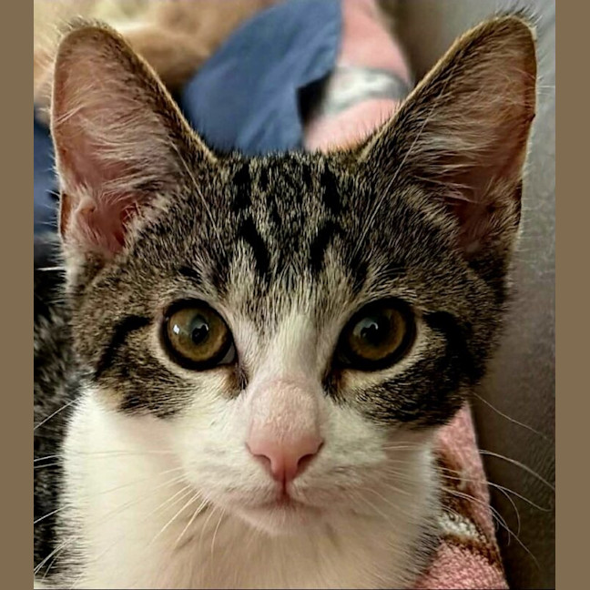 Photo of Tabitha