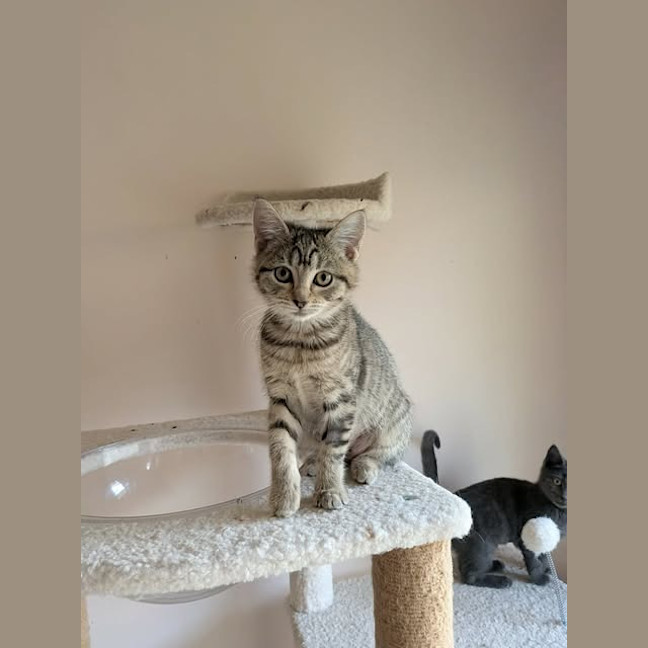 Photo of Kyla