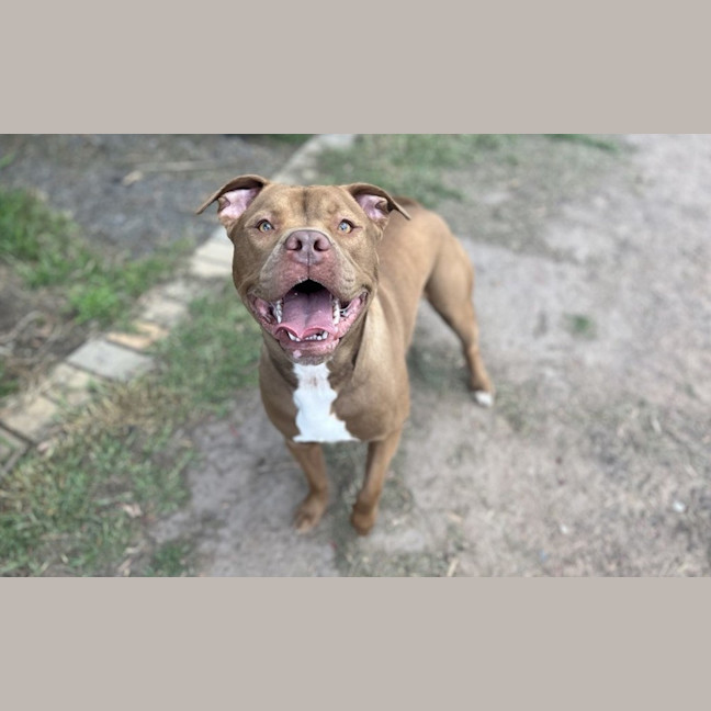 Photo of Major