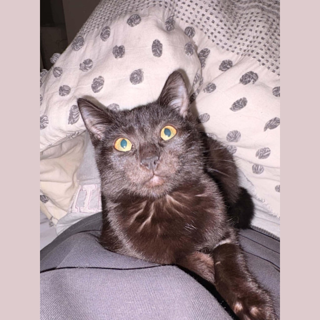 Photo of Asha