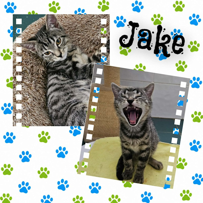 Photo of Jake💙