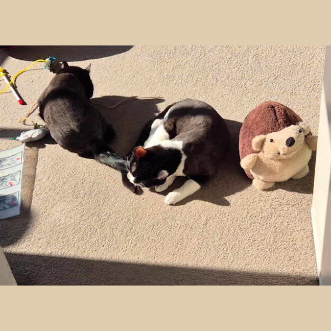 Photo of Diaz And Gucci