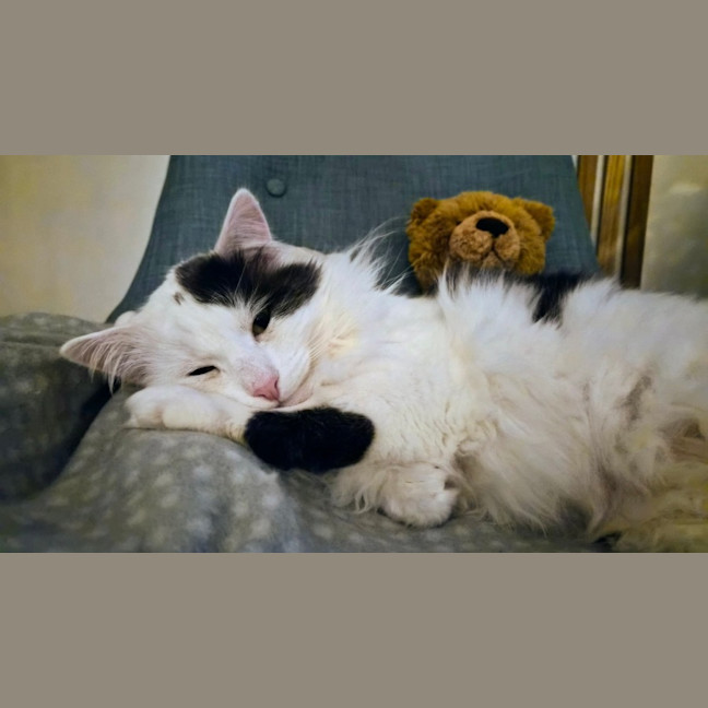 Photo of Walter 