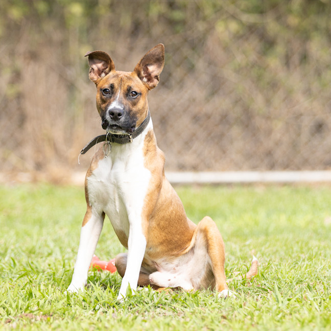 Photo of Buster