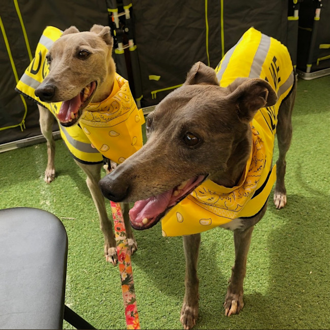 Photo of Punta