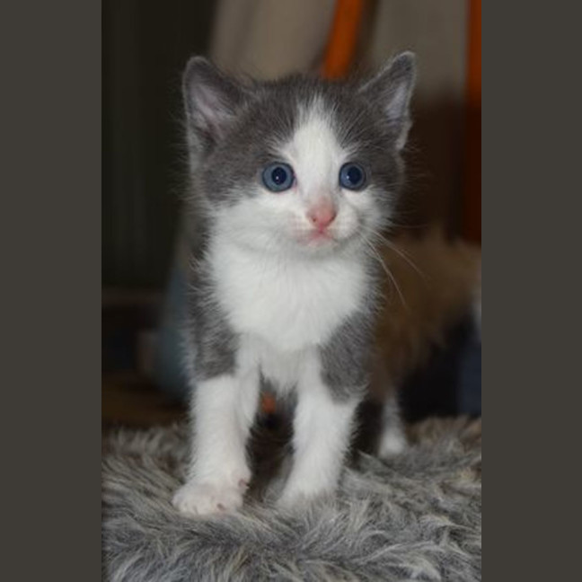 Photo of Kevin