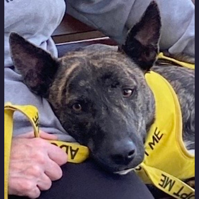 Photo of Zeb
