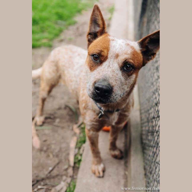 Photo of Nala Jablonksi