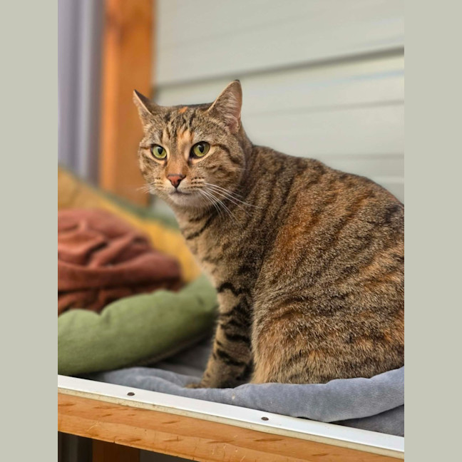 Photo of Echo
