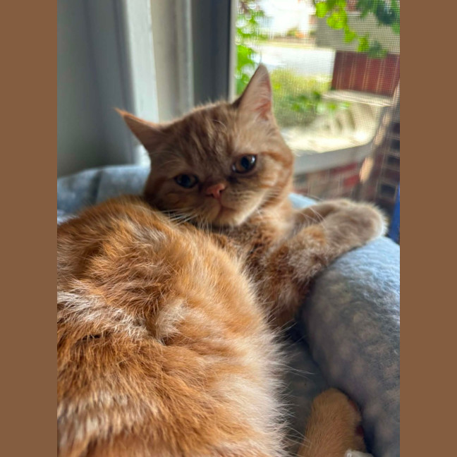 Photo of Elara