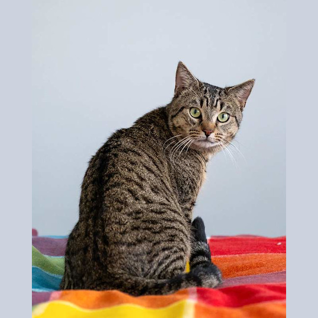 Photo of Oliver