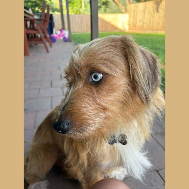 Photo of Steven
