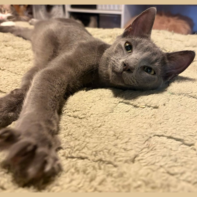 Photo of Ziggy