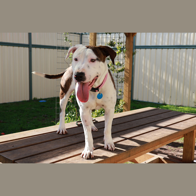 Photo of Wilma