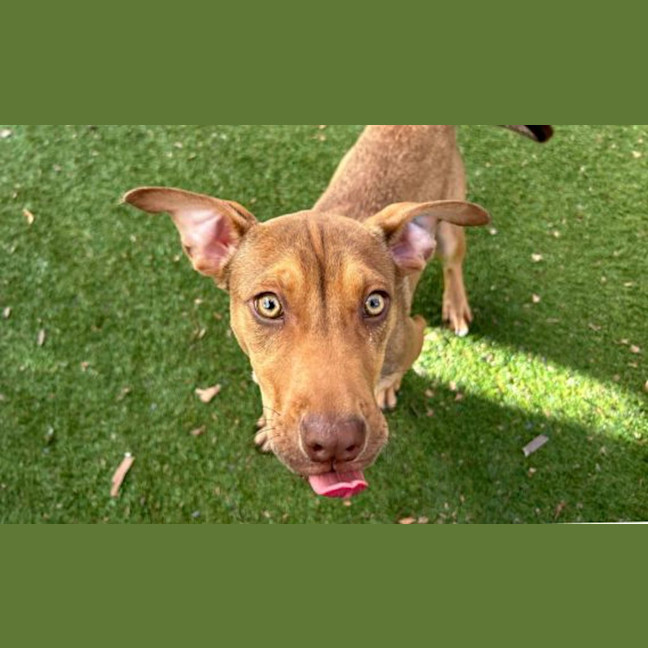 Photo of Lulu