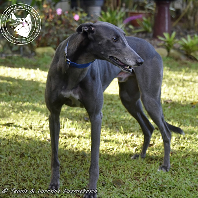 Photo of Froggy (Poppy Ed)