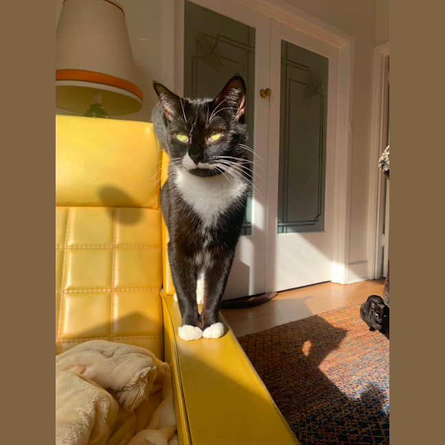 Photo of Blaire & Atlas 