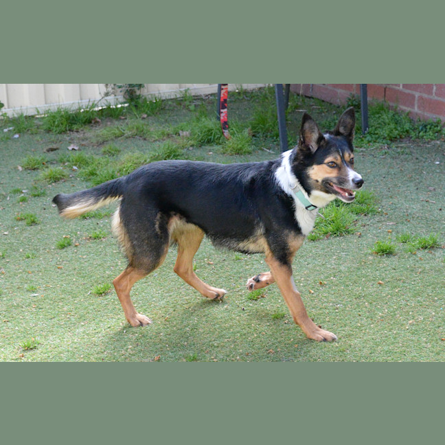 Photo of Lucy