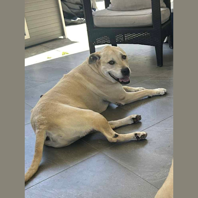 Photo of Cognac And Teddy