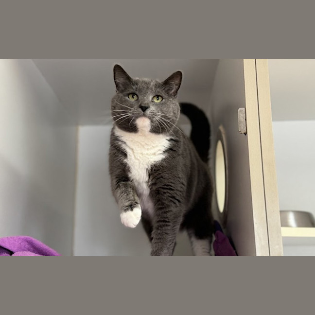 Photo of Puzzle