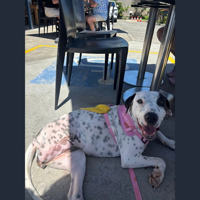 Photo of Matilda