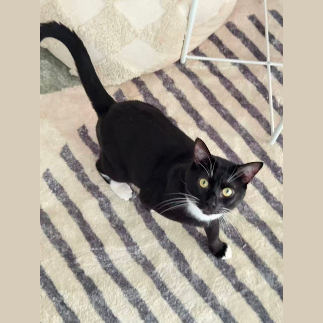 Photo of Frankie
