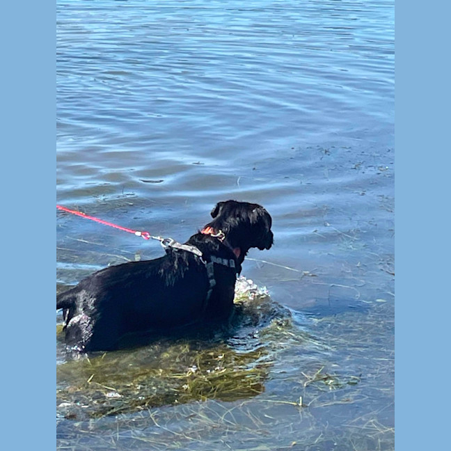 Photo of Maisey