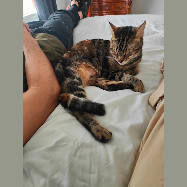 Photo of Ivy