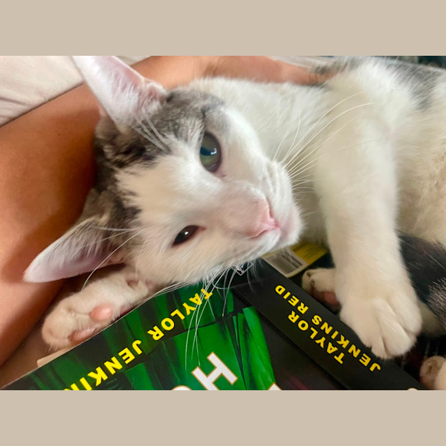 Photo of Maverick