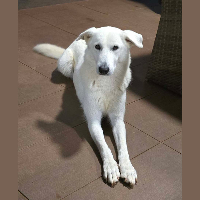 Photo of Freyja