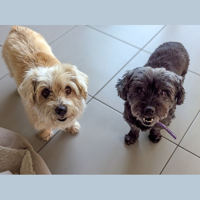 Photo of Missy & Middy