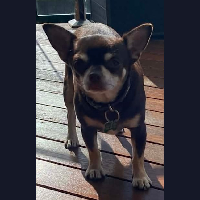 Photo of Sid