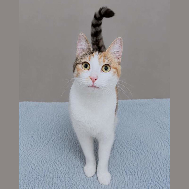 Photo of Bella