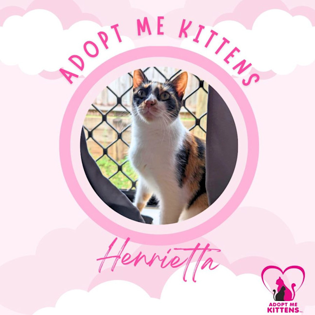 Photo of Henrietta