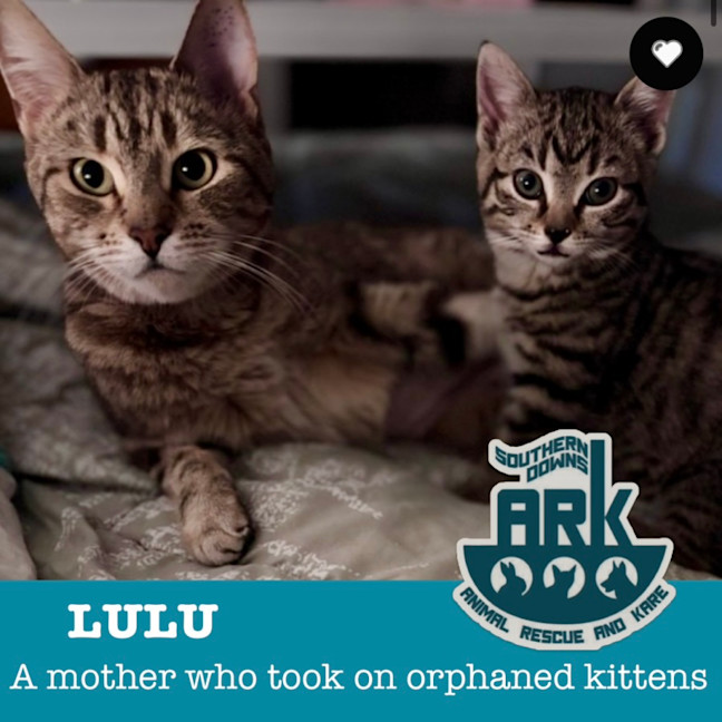 Photo of Lulu