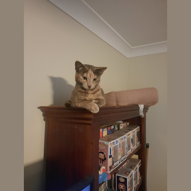 Photo of Sage