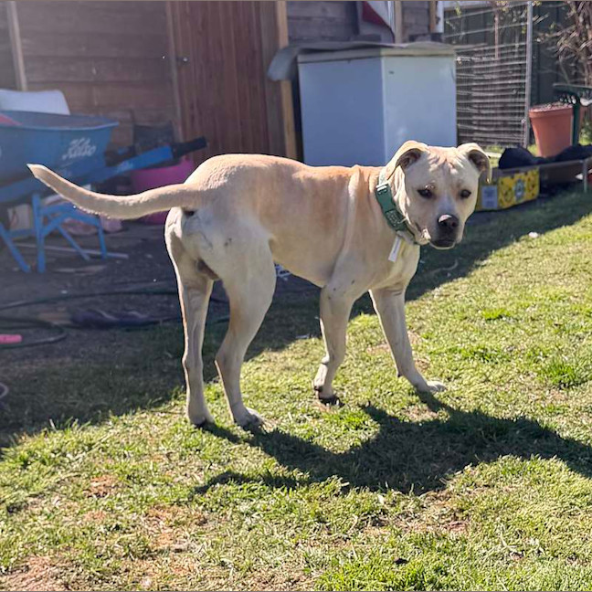 Photo of Astro
