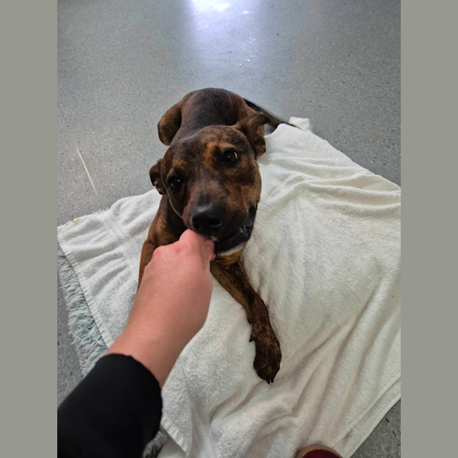 Photo of Toohey! 🍻