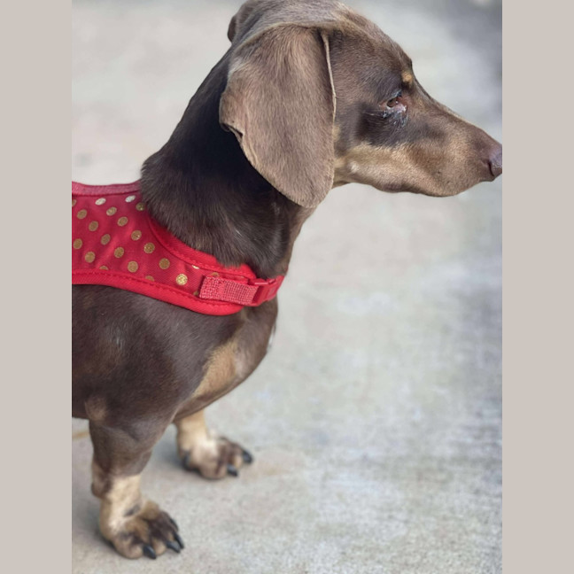 Photo of Kevin