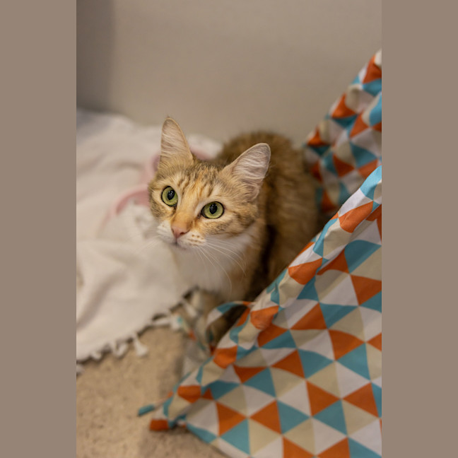 Photo of Madam Maxine