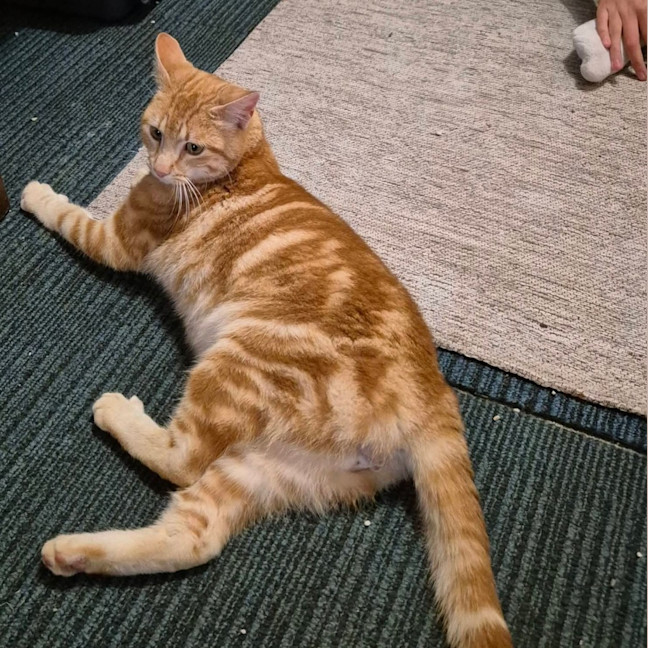 Photo of Sol