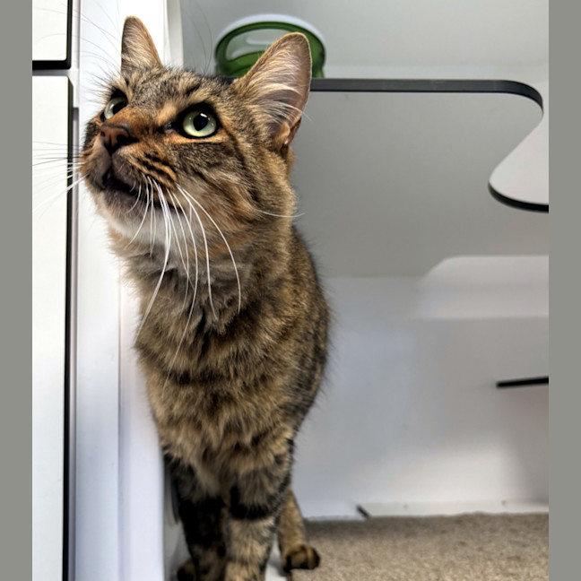 Photo of Brian Rstk006319