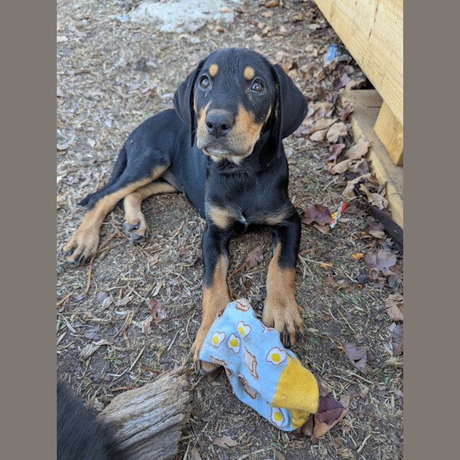 Photo of Anais Watterson