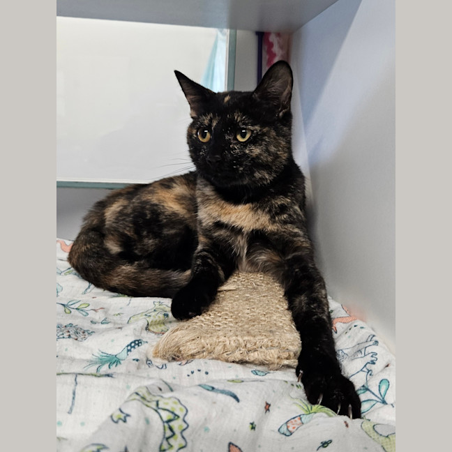 Photo of Agnes
