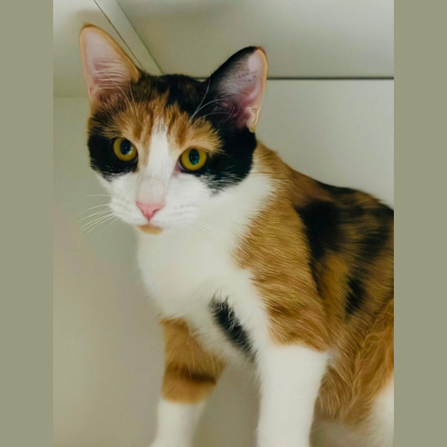 Photo of Elfie And Zorra 