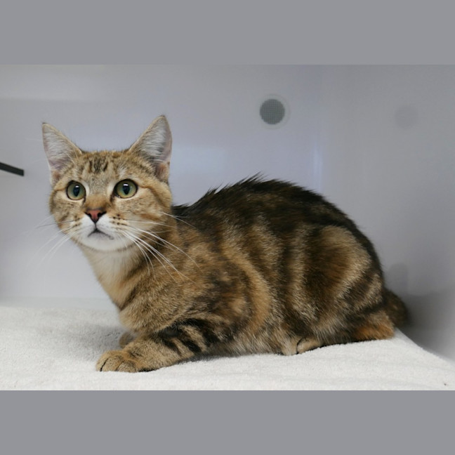 Photo of Shelby Sua013311