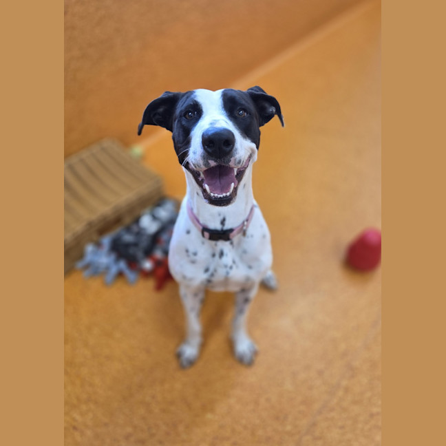 Photo of Bubble